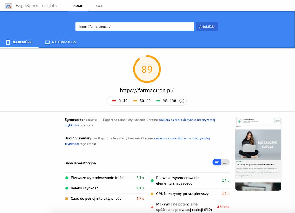 Optymalizacja strony www pod Google narzędzie PageSpeed Insights